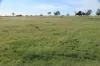 564 ORALLO ROAD, Roma, Qld 4455-Image