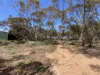 57 Buggy Rd, Baroota, SA 5495-Image