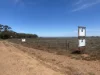 57 Buggy Rd, Baroota, SA 5495-Image