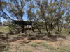 57 Buggy Rd, Baroota, SA 5495-Image