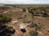 57 Buggy Rd, Baroota, SA 5495-Image