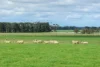 57 Estate Road, Caramut, Vic 3274-Image