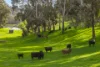 57 Wenzel Road, Balhannah, SA 5242-Image
