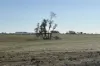 577 Rogers Road, Mogumber, WA 6506-Image