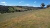 580 Batlow Road, Tumbarumba NSW 2653-Image
