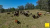 580 Purgatory Creek Road, Grafton NSW 2460-Image