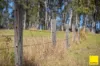 580 Purgatory Creek Road, Grafton NSW 2460-Image