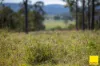 580 Purgatory Creek Road, Grafton NSW 2460-Image