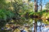 581 Glendonbrook Road, Glendon Brook, NSW 2330-Image