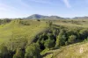 581 Glendonbrook Road, Glendon Brook, NSW 2330-Image
