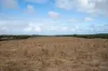 582 Bluff Creek Road, Green Range WA 6328-Image