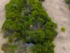 582 Bluff Creek Road, Green Range WA 6328-Image