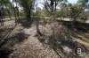 585 Maryborough-Dunolly Road, Havelock, Vic 3465-Image