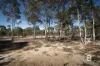 585 Maryborough-Dunolly Road, Havelock, Vic 3465-Image