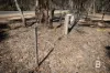 585 Maryborough-Dunolly Road, Havelock, Vic 3465-Image