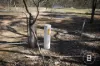 585 Maryborough-Dunolly Road, Havelock, Vic 3465-Image