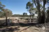 585 Maryborough-Dunolly Road, Havelock, Vic 3465-Image