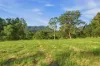 587 Hannam Vale Road, Stewarts River, NSW 2443-Image