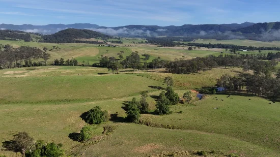 5887 Oxley Highway, Ellenborough, NSW 2446