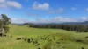 5887 Oxley Highway, Ellenborough, NSW 2446-Image