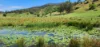 5887 Oxley Highway, Ellenborough, NSW 2446-Image