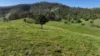 5887 Oxley Highway, Ellenborough, NSW 2446-Image