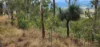 5887 Oxley Highway, Ellenborough, NSW 2446-Image