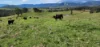 5887 Oxley Highway, Ellenborough, NSW 2446-Image