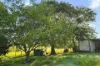 589 Moolboolaman Road, Moolboolaman, Qld 4671-Image