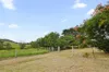 589 Moolboolaman Road, Moolboolaman, Qld 4671-Image