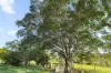 589 Moolboolaman Road, Moolboolaman, Qld 4671-Image