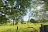 589 Moolboolaman Road, Moolboolaman, Qld 4671-Image