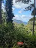 59 Curricabark Road, Dewitt via, Gloucester, NSW 2422-Image