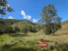 59 Curricabark Road, Dewitt via, Gloucester, NSW 2422-Image