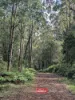 59 Curricabark Road, Dewitt via, Gloucester, NSW 2422-Image