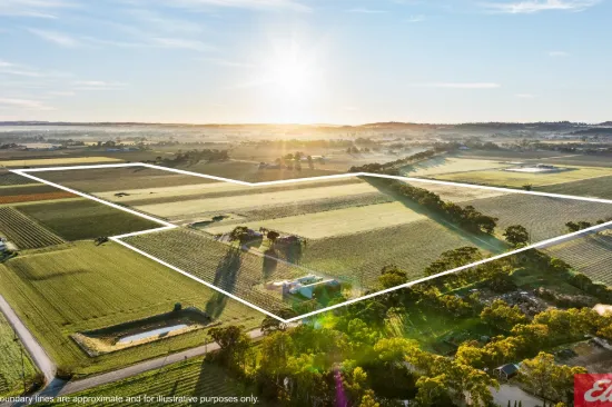 59 Siegersdorf Road, Nuriootpa, SA 5355