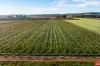 59 Siegersdorf Road, Nuriootpa, SA 5355-Image