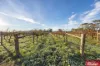 59 Siegersdorf Road, Nuriootpa, SA 5355-Image
