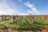 59 Siegersdorf Road, Nuriootpa, SA 5355-Image