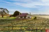 59 Siegersdorf Road, Nuriootpa, SA 5355-Image