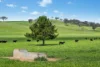 593 Belgravia Road, Belgravia, NSW 2800
