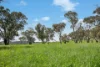 593 Belgravia Road, Belgravia, NSW 2800-Image