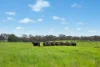 593 Belgravia Road, Belgravia, NSW 2800-Image