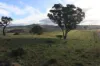 593 Glenrock Road, Yass, NSW 2582-Image