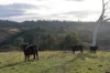 593 Glenrock Road, Yass, NSW 2582-Image