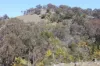 593 Glenrock Road, Yass, NSW 2582-Image