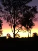 594 Promisedland Road, Promisedland, Qld 4660-Image