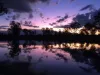594 Promisedland Road, Promisedland, Qld 4660-Image