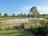 594 Promisedland Road, Promisedland, Qld 4660-Image