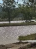 594 Promisedland Road, Promisedland, Qld 4660-Image